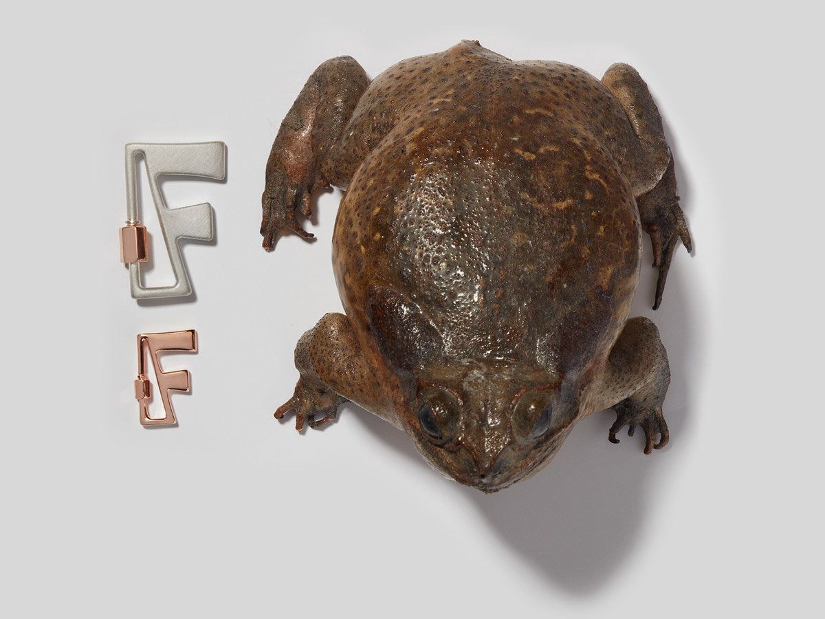 Large silver letter F charm and small rose gold letter F charm alongside a frog